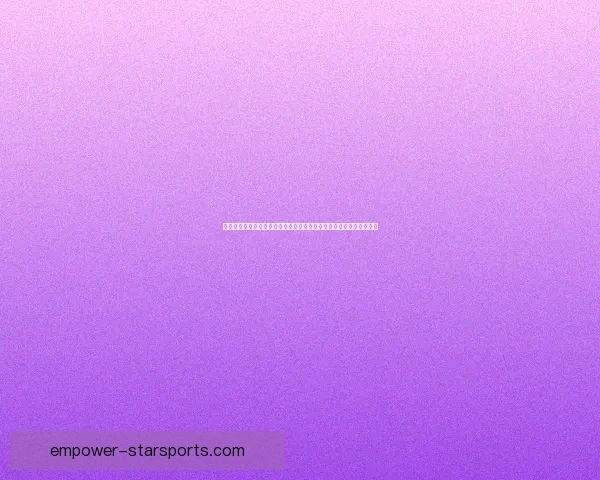 谢菲尔德星期三俱乐部夏窗引援与保级前景全面解析最新动态深度观察